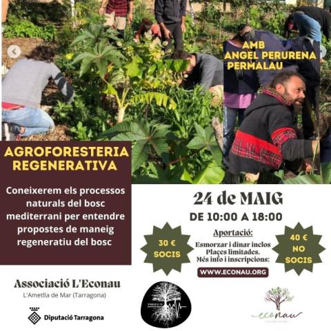 Agroforesteria