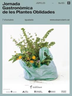 Cartell JGPO Igualada 23