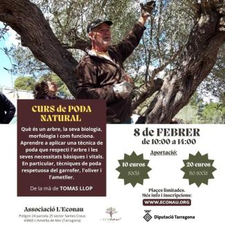 Curs de poda natural amb Tomàs Llop