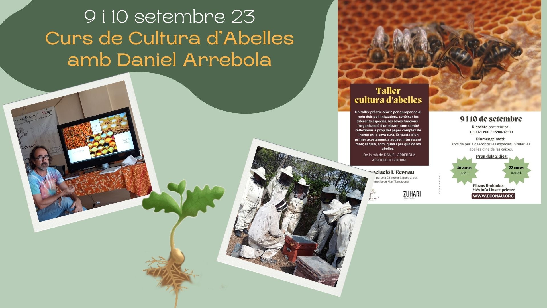 Cultura d'abelles amb Daniel Arrebola