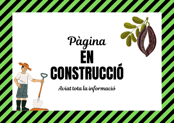 Pagina en construcció