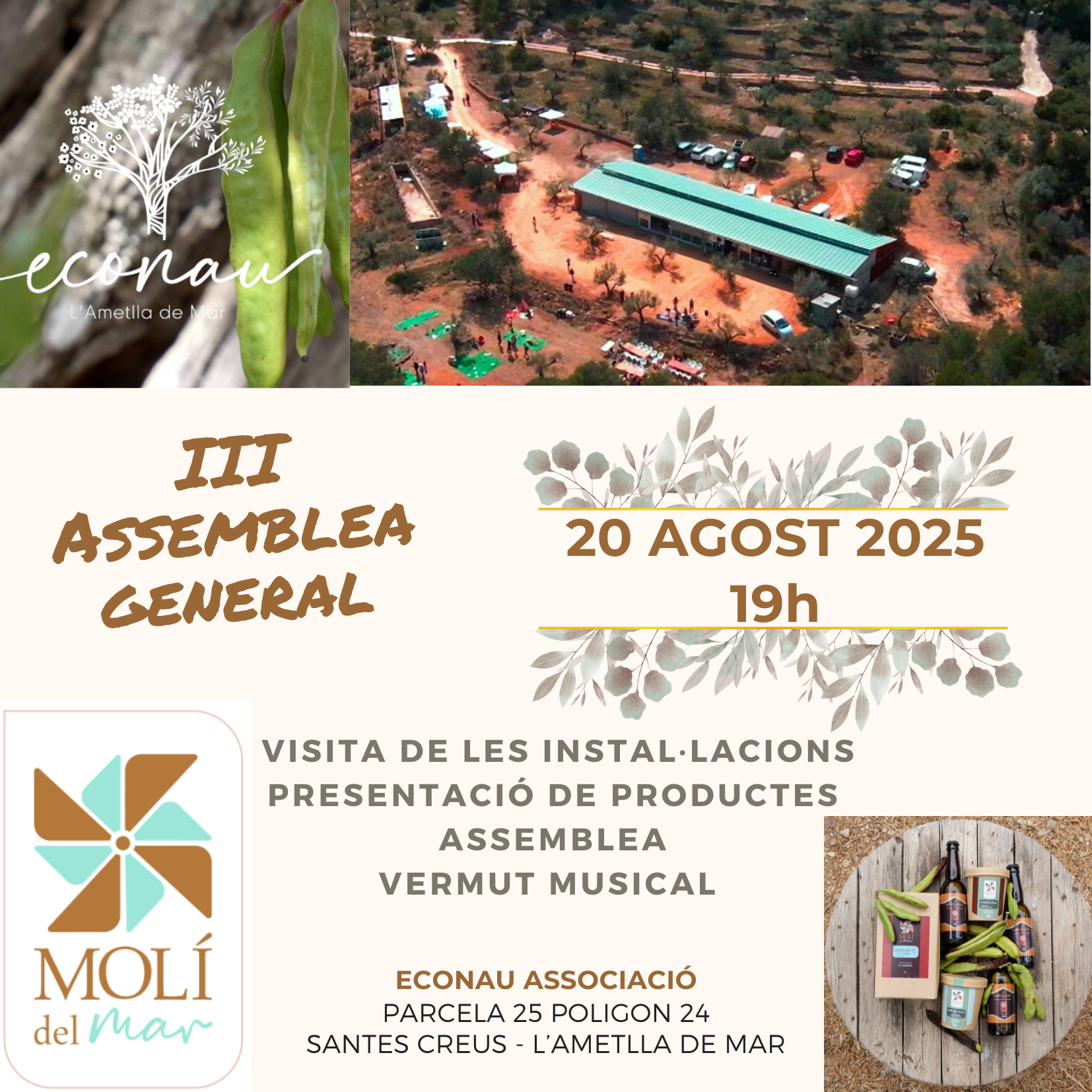 Assemblea 20/8