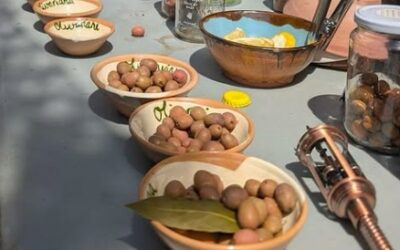 2 de novembre: Taller de conserves d’olives amb Jordi Oyonarte d’Olivariana