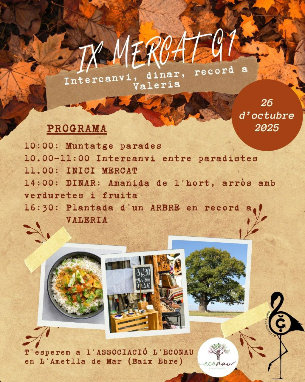 26/10/25 Mercat G1