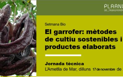 17 de Novembre: Jornada tècnica El garrofer: Mètodes de cultiu sostenibles i productes elaborats
