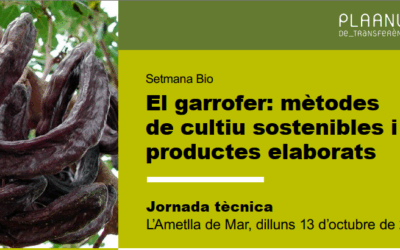 13 d’Octubre: Jornada tècnica El garrofer: Mètodes de cultiu sostenibles i productes elaborats