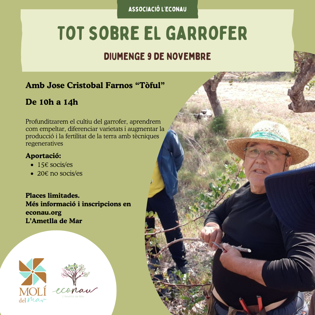 Tot sobre el garrofer - 9/11