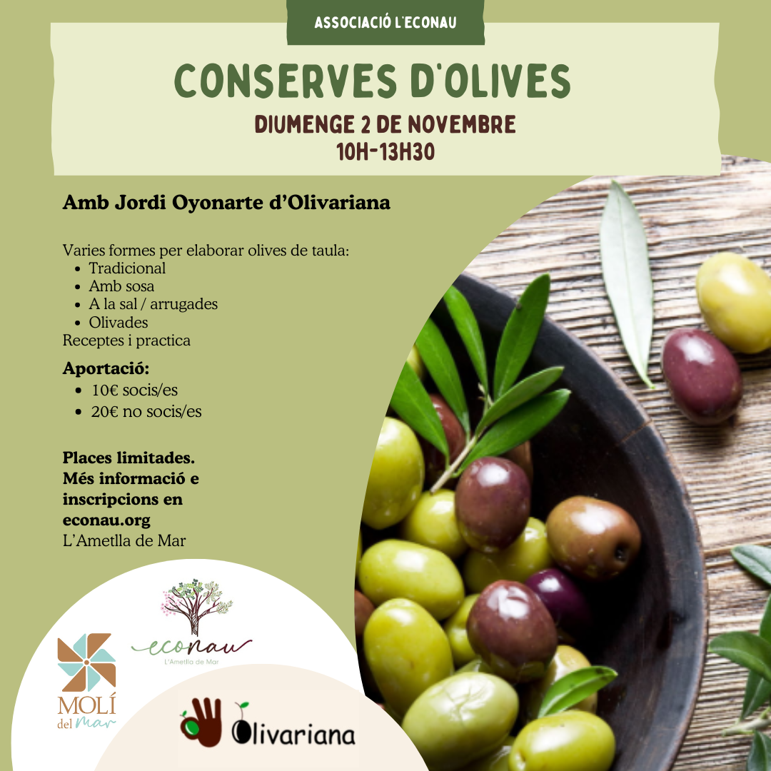 2025 11 02 conserves dolives 2025 11 02 taller conserves dolives