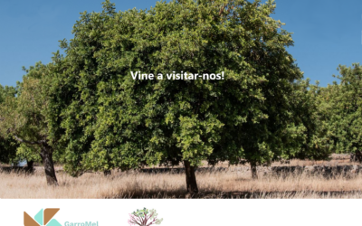 Fira Alimentaria 2026