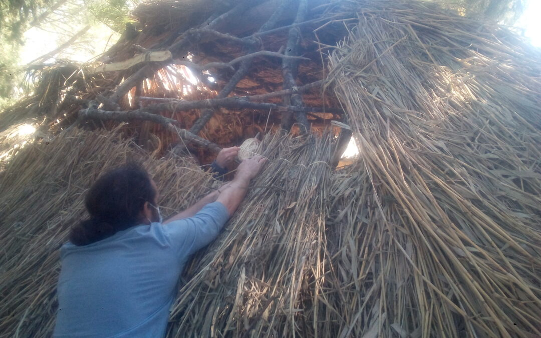 20 de juny: Taller de bioconstrucció amb Marco Pla – 3a sessio