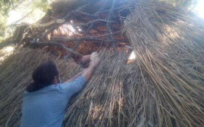 20 de juny: Taller de bioconstrucció amb Marco Pla – 3a sessio