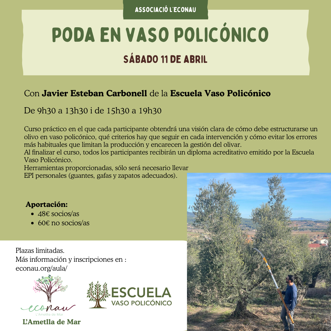 11/4: poda en vaso policonico