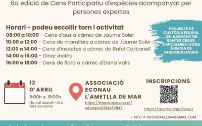 12 d&rsquo;abril: Bioblitz al Barranc de Santes Creus