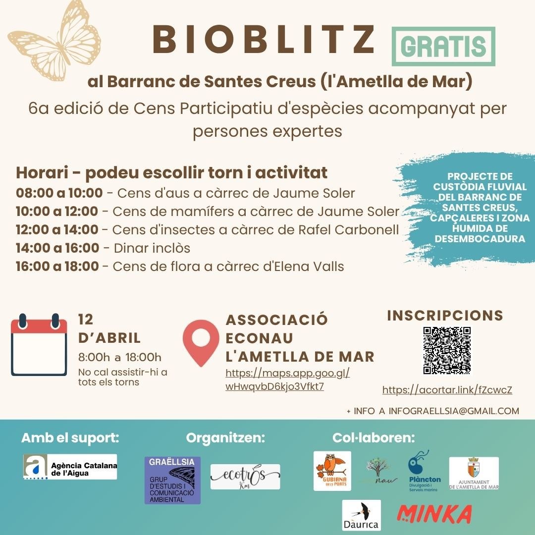 Bioblitz 12/4/26