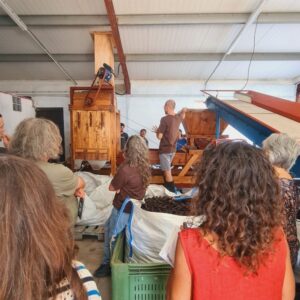 Keratia, l'estrella del Mplí del Mar