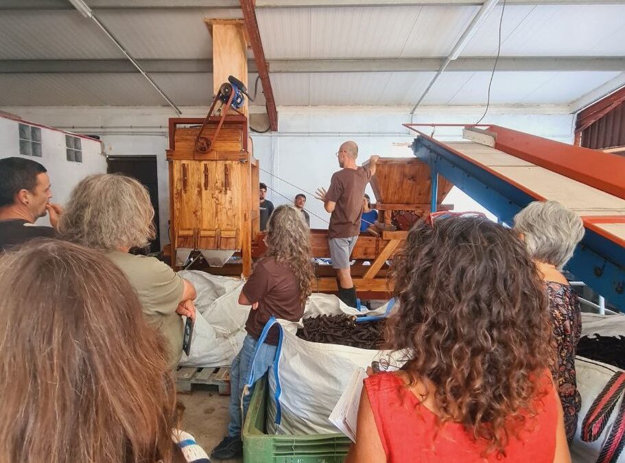 Keratia, l'estrella del Molí del Mar