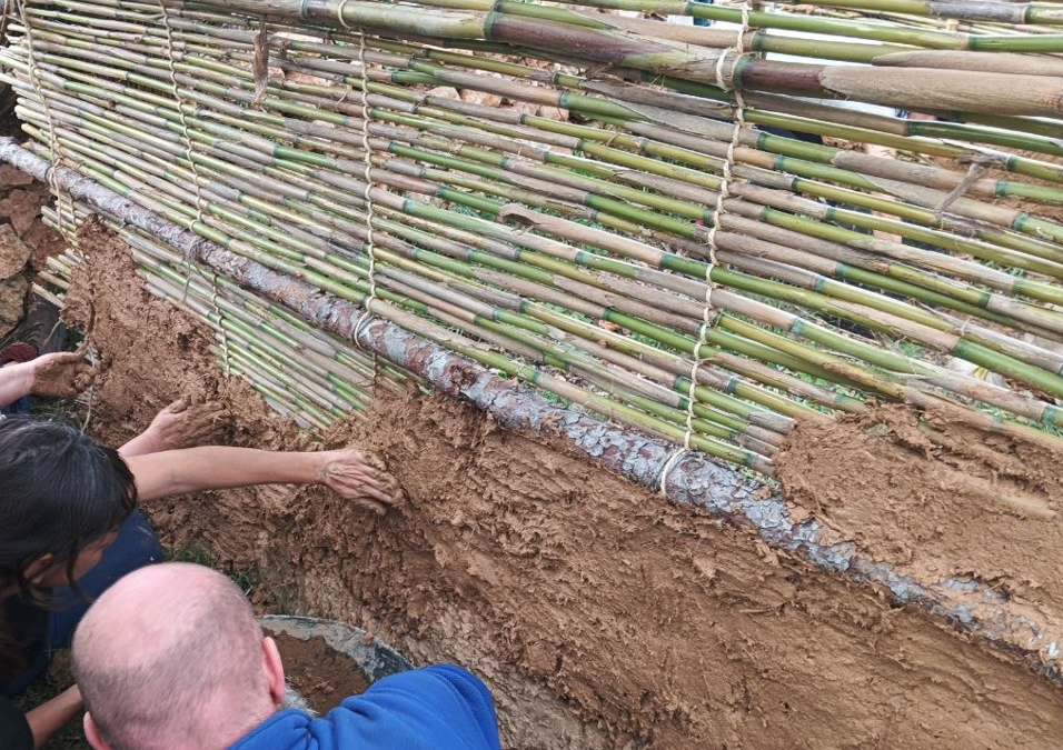 Bioconstruccio